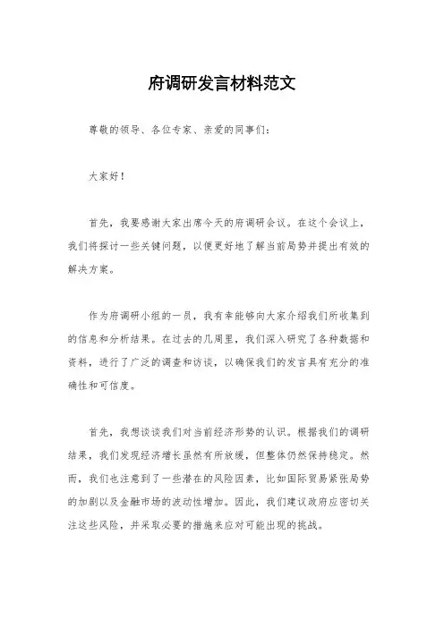 府调研发言材料范文