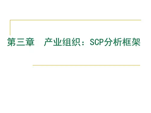 第3章 SCP分析范式解析