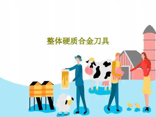 整体硬质合金刀具共36页文档