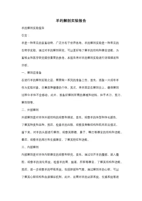 羊的解剖实验报告