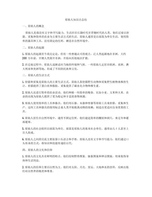 原始人知识点总结