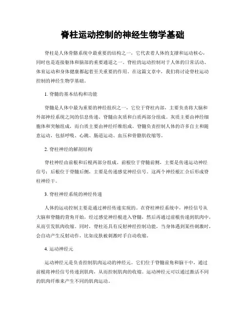 脊柱运动控制的神经生物学基础