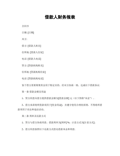 借款人财务报表