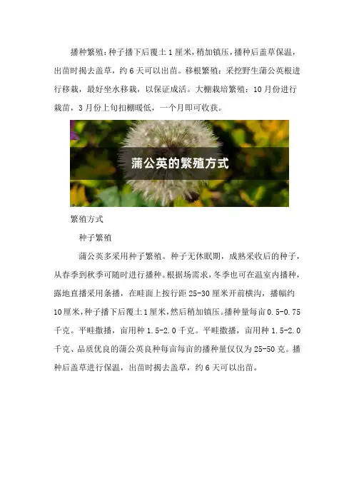 蒲公英的繁殖方式