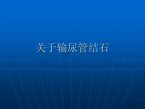 输尿管结石课件