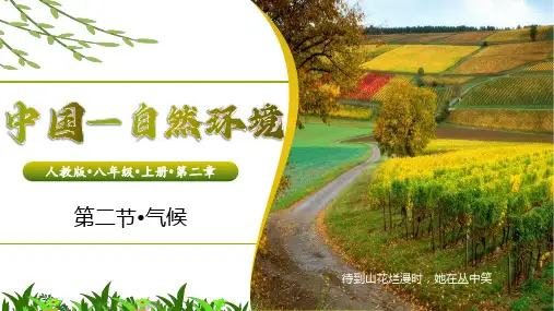 2.2.3 中国的气候(第3课时 气候特征)八年级地理上册(人教版)