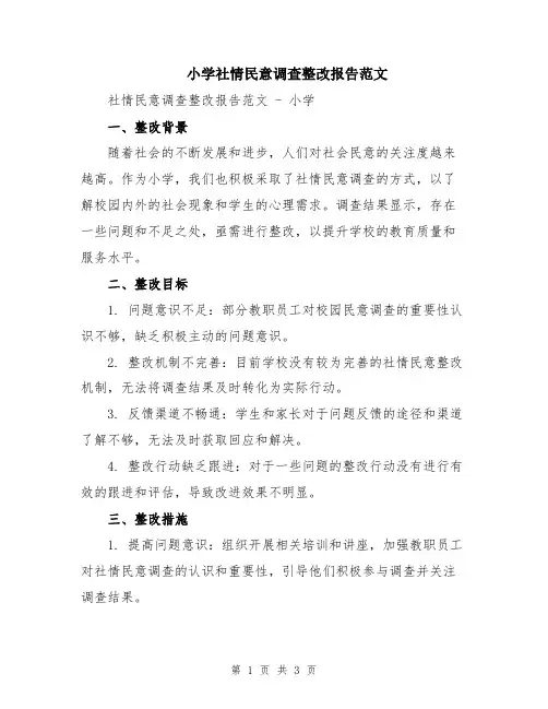 小学社情民意调查整改报告范文