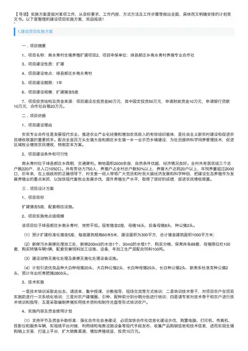 建设项目实施方案5篇