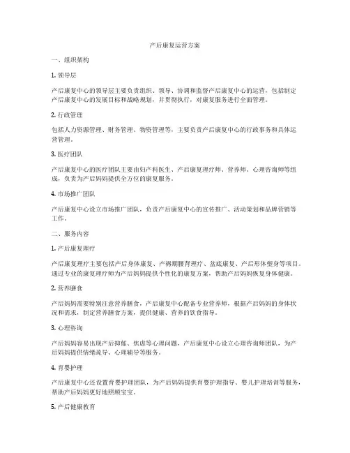产后康复运营方案