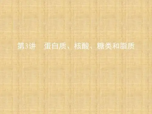 (北京专用)高考生物一轮复习 第1单元 细胞的分子组成与结构 第3讲 蛋白质、核酸、糖类和脂质名师课件