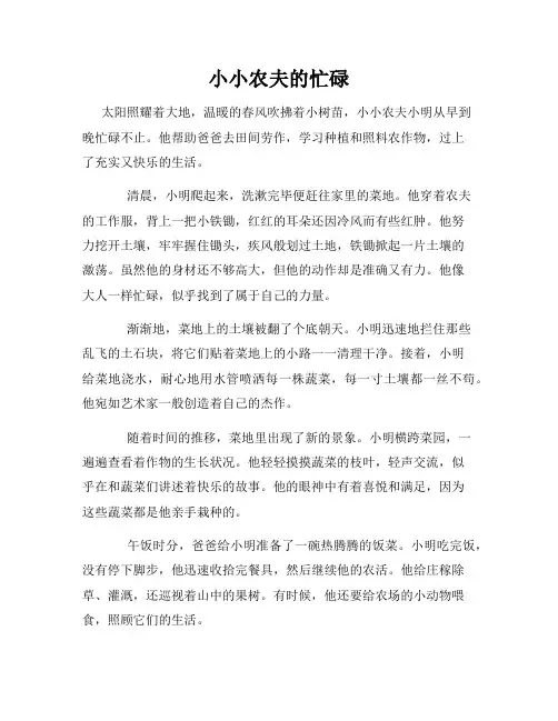 小小农夫的忙碌