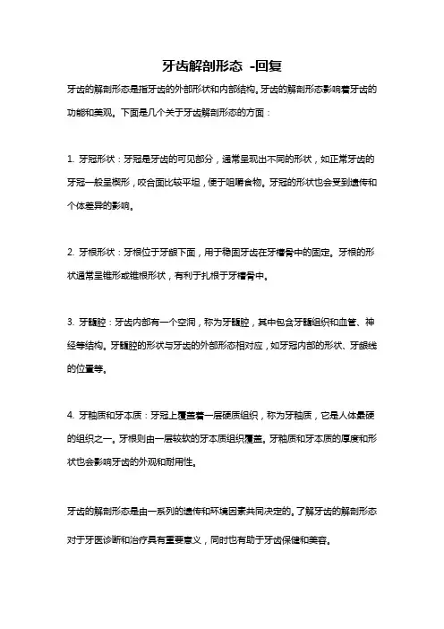 牙齿解剖形态 -回复