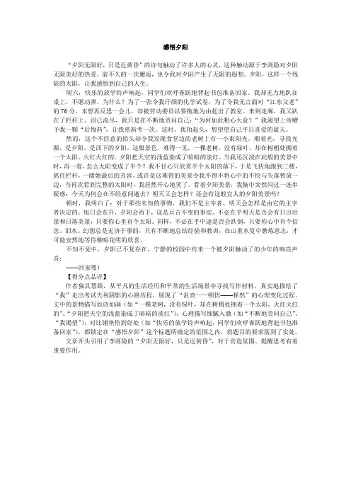 镇江市中考满分作文-感悟夕阳