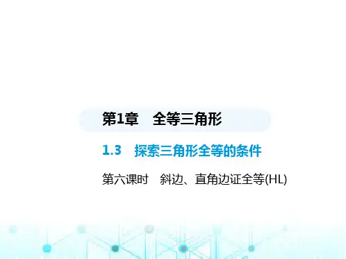 苏科版初中八年级数学上册1-3探索三角形全等的条件第六课时斜边、直角边证全等(HL)课件
