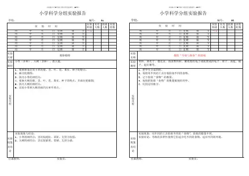 冀教版小学6年级上册科学实验报告(A4纸)