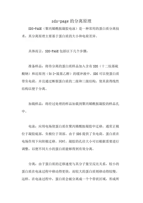 sds-page的分离原理