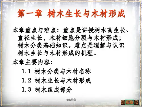 树木的生长和木材的形成