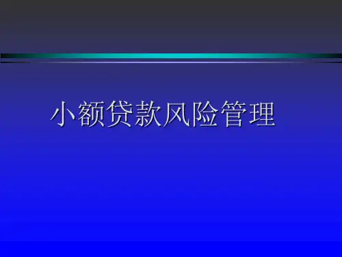 风险管理操作实务ppt课件