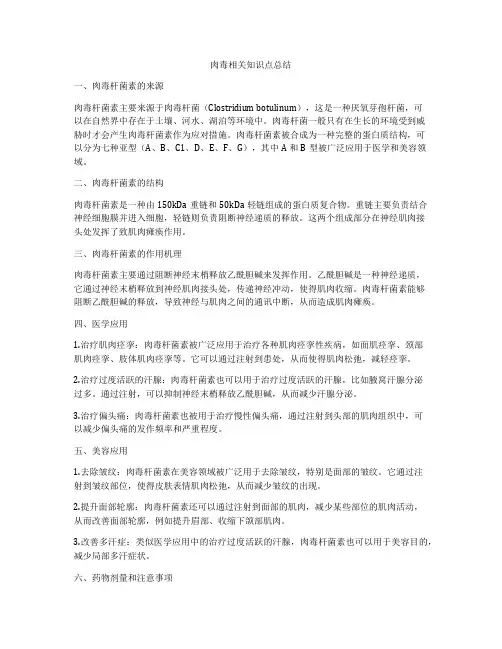 肉毒相关知识点总结