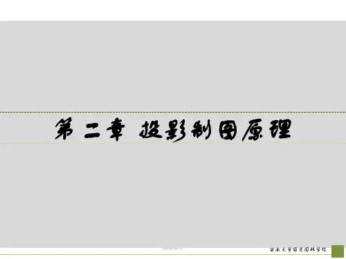 投影的基本知识完整版本