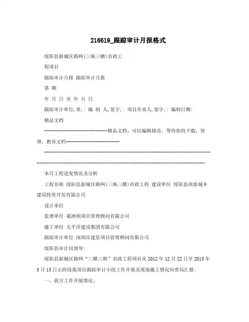 216619_跟踪审计月报格式
