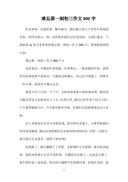难忘那一刻初三作文800字