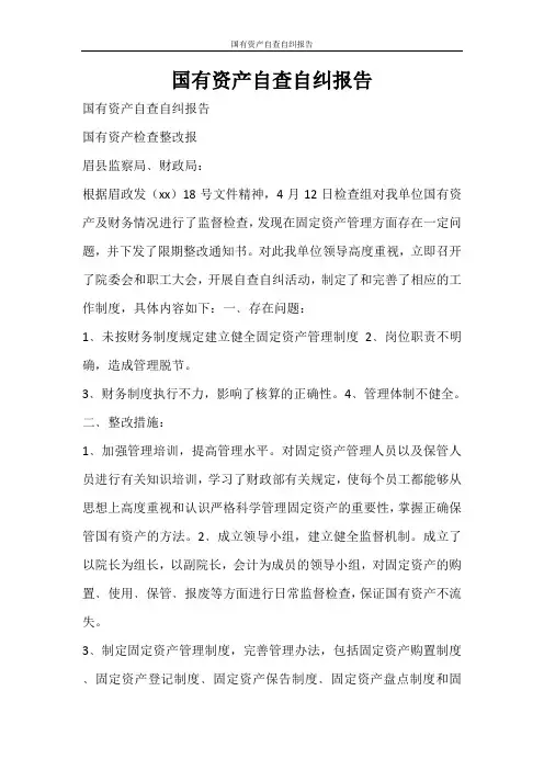 工作报告 国有资产自查自纠报告