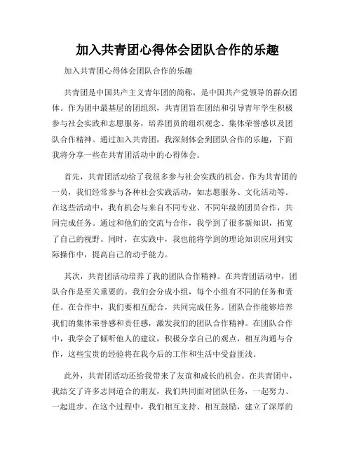  加入共青团心得体会团队合作的乐趣