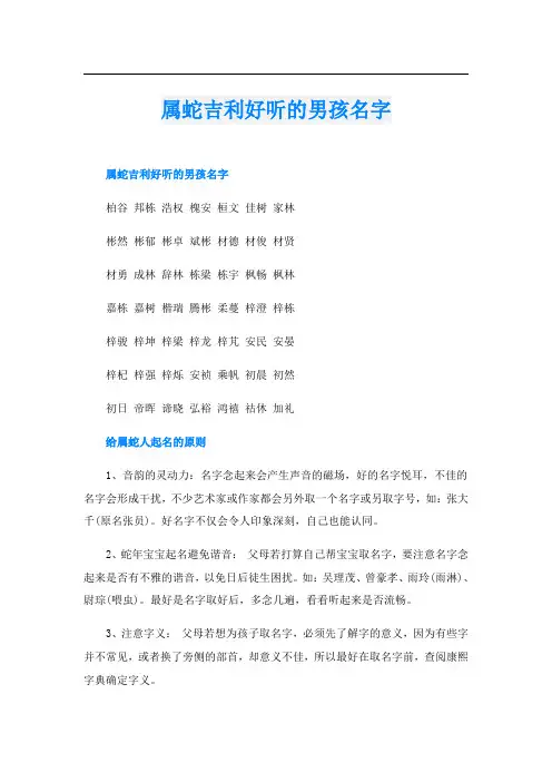 属蛇吉利好听的男孩名字