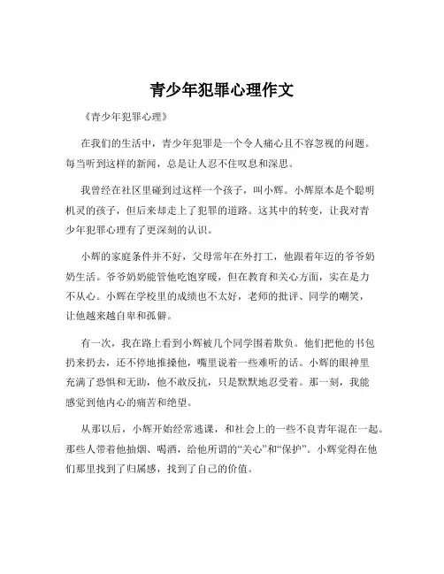 青少年犯罪心理作文