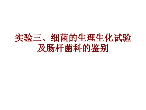 细菌的生理生化及肠杆菌科的鉴别