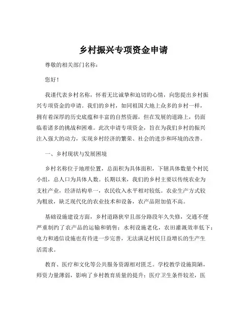 乡村振兴专项资金申请