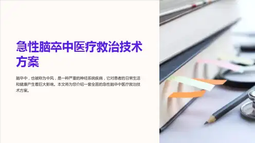急性脑卒中医疗救治技术方案