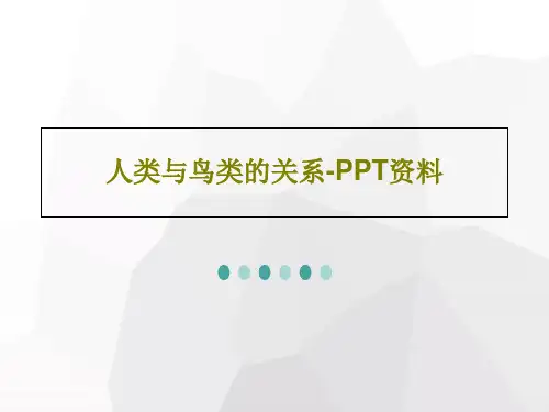 人类与鸟类的关系-PPT资料19页PPT