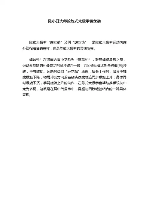 陈小旺大师论陈式太极拳缠丝劲