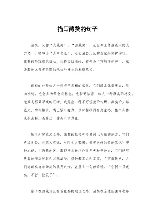 描写藏獒的句子