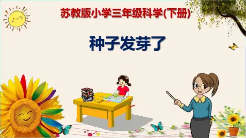 《种子发芽了》苏教版小学三年级科学(下册)精品课件PPT
