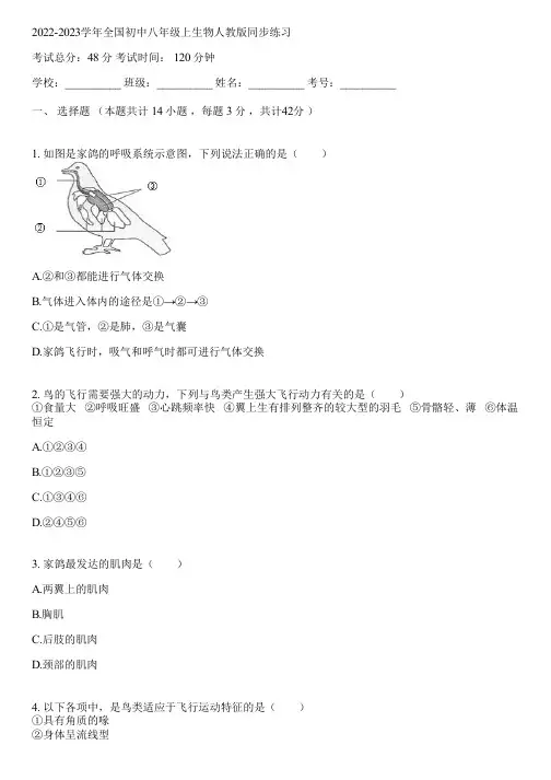2022-2023学年全国初中八年级上生物人教版同步练习(含答案解析)120413