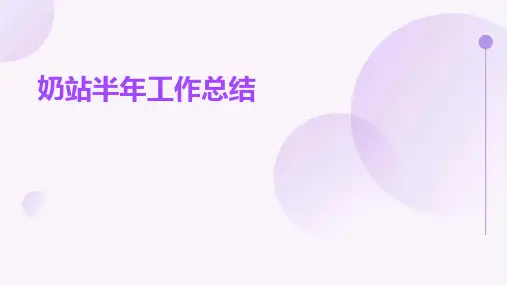 奶站半年工作总结PPT