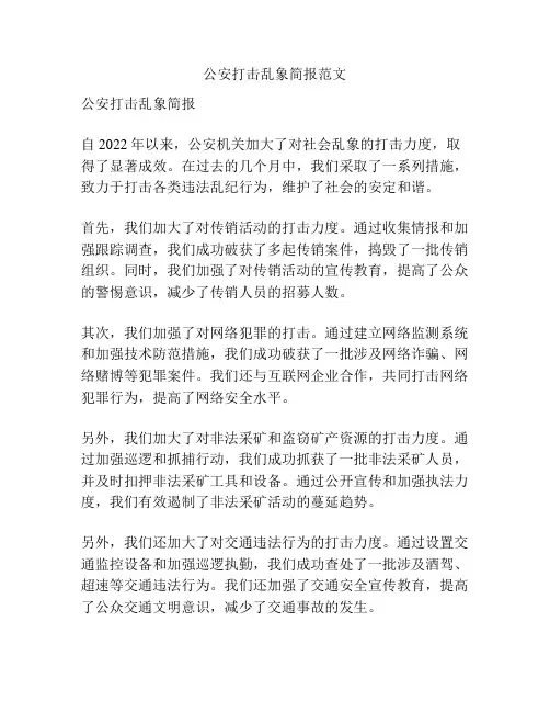 公安打击乱象简报范文