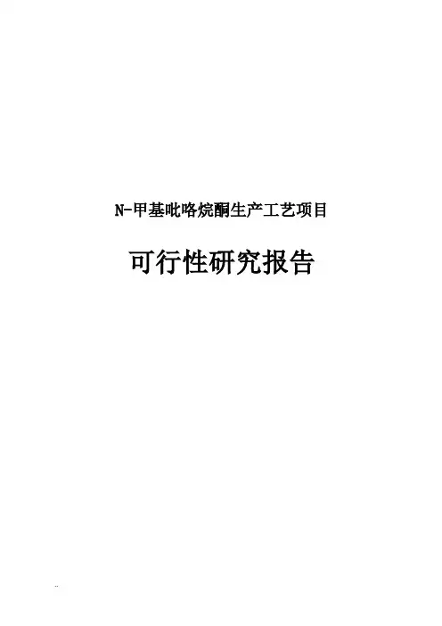 N-甲基吡咯烷酮生产工艺可行性研究报告