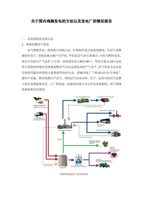 鸡粪发电情况报告