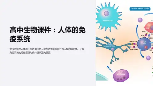高中生物课件：人体的免疫系统