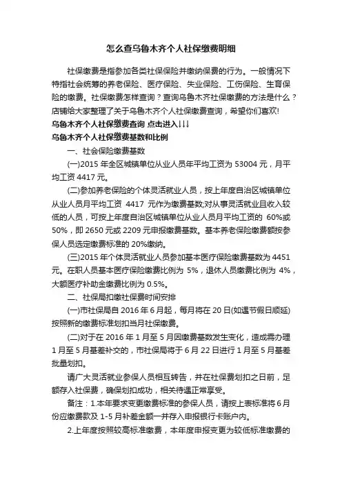 怎么查乌鲁木齐个人社保缴费明细