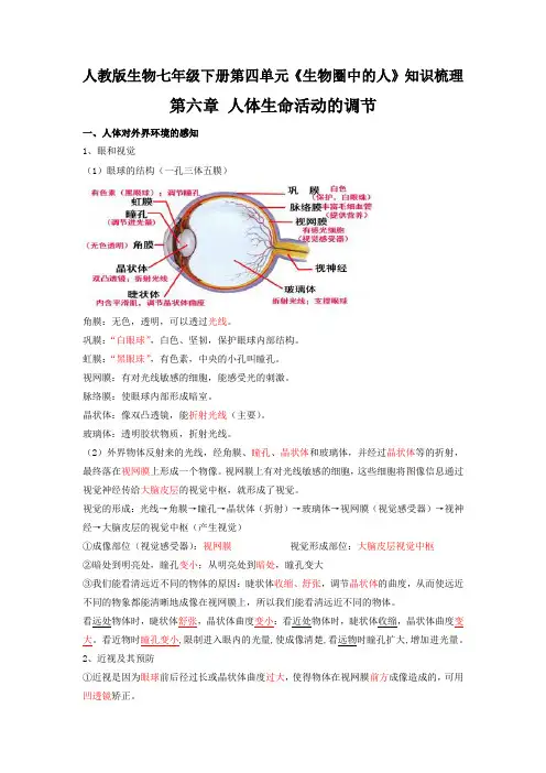 第六章 人体生命活动的调节【2023春人教版七下生物期中期末复习 必背考点整理】(解析版)