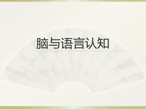 大脑语言功能区
