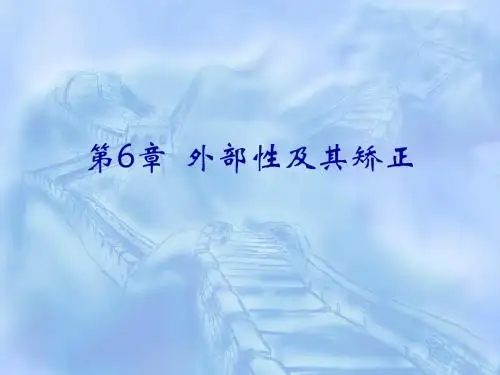 第6章 外部性及其矫正