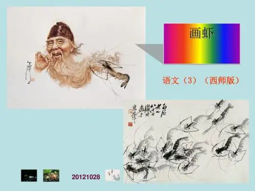 画虾 优秀ppt课件4