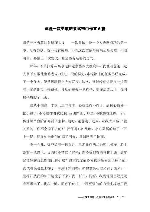 那是一次勇敢的尝试初中作文6篇