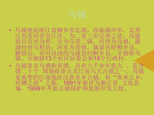【精选】乌镇与互联网大会主题班会PPT资料